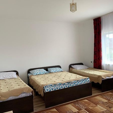 Delfin Murok Бостери Екстериор снимка